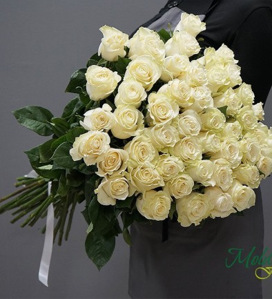 Роза белая голландская премиум 80-90 см (под заказ, 10 дней) Фото 394x433
